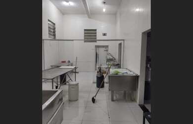 Imagem 5: 300 alqueires com 300 búfalos a 120km de Belém casa sede grande e de vaqueiro