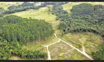 Imagem 7: Fazenda à venda em Doutor Pedrinho SC no São João