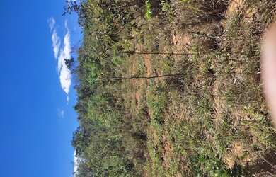 Imagem 2: Terreno de 20 mil mt em Pitangui MG