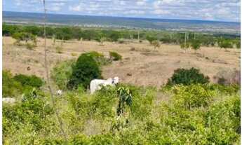 Imagem: Fazenda com 383 hactares, com porteira