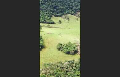 Imagem 14: Fazenda de 404 há em Oliveira