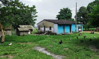 Imagem 3: Fazenda 553 hectares fica a 135 km de Belém por R$2.8 milhões