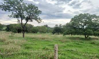 Imagem 6: Fazendinha de 14 há em Esmeraldas MG