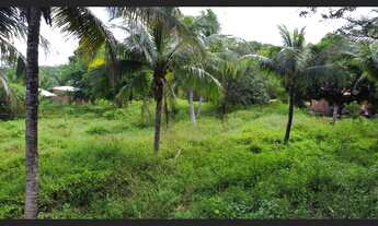 Imagem 5: Terreno na Estrada do Mojo | Paço do Lumiar | + de 8.000m²