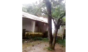 Imagem 7: Terreno a venda em Pacoti