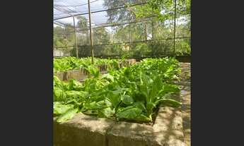 Imagem 7: CHÁCARA Á VENDA EM SALTO DE PIRAPORA