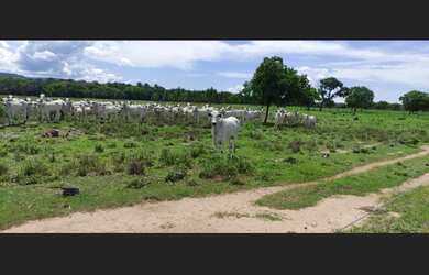 Imagem 4: FAZENDA PERTO DE CUIABA MT COM 174 HECTARES