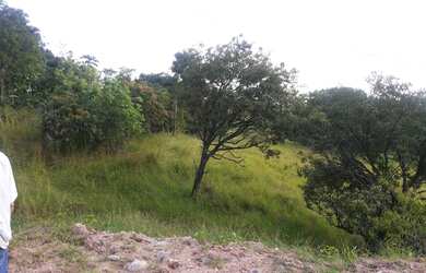 Imagem 3: ÀREA AS MARGENS DA PE-60 AO LADO DO PORTO DE SUAPE