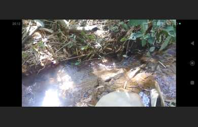 Imagem 6: Terreno de 15 mil mt em oliveira