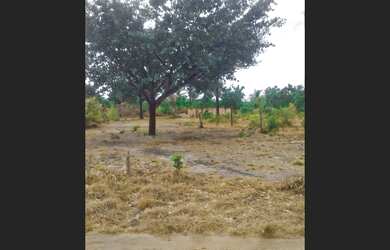 Imagem 2: São verissimo Terreno / lote com venda por R$8.000