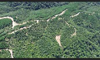 Imagem 6: Fazenda à Venda 488,86 hectares Aptidão para Reflorestamento em Rio do Campo SC