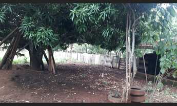 Imagem 4: ÁREA 1.33HEC PRÓX. OTÁVIO PÉCORA