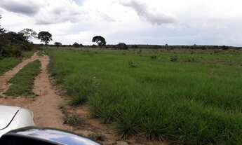 Imagem 3: 516 Alqs arrendamento Disponivel P Soja Silvanópolis TO