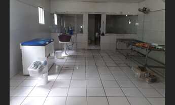 Imagem 7: Excelente sítio em Benfica-Benfica no Pará,na BR 316