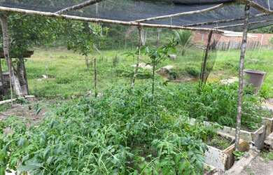 Imagem 5: Sítio em Nazaré das farinhas