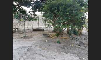 Imagem 7: Sitio de 32 mil mt em passa tempo