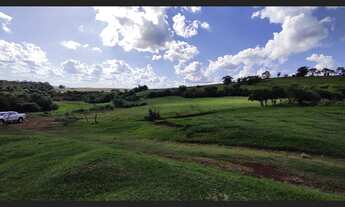 Imagem 3: Vende-se lote de terra ROXA entre Boa Esperança e Farol - 42,8 alqueires/103 hectares