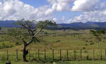 Imagem 3: Fazenda Itapé/BA
