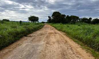 Imagem: 2725 HECTÁRES EM MONTE ALEGRE DE GOIÁS