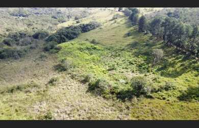 Imagem 6: Fazenda de 106 há em Itaúna MG