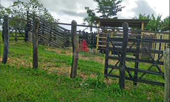 Imagem 6: Fazenda p/gado 435 tarefas, Itaporanga D’Ajuda/SE, por apenas R$ 2,2