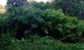 Imagem: Sitio produtivo