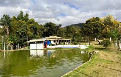 Imagem 5: Sítio de 5 ha em Passa Tempo MG