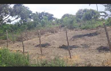 Imagem 3: Parque Alto das Mangueiras, s/n, Vera Cruz, Bahia