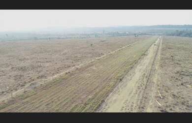 Imagem 5: FAZENDA EM NOVO PROGRESS0O