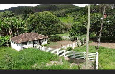 Imagem 4: Fazenda de 115 há em Desterro de Entre Rios MG