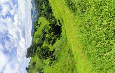 Imagem 4: Terreno de 13.5 há com cachoeira em Oliveira
