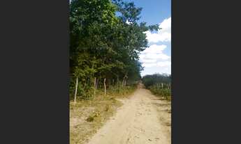 Imagem 3: TERRENO MUITO BOM