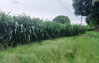 Imagem 4: Fazendinha de 14 há em Esmeraldas MG
