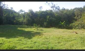 Imagem 5: Chácara beira rio