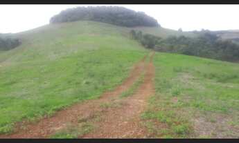 Imagem 7: ÁREA RURAL PRÓXIMA A ERECHIM RS
