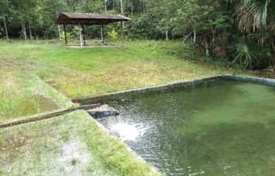 Imagem 6: 325 hectares (67 alqueires) a 110 km de Belem por R$2.000.000,00 documentada