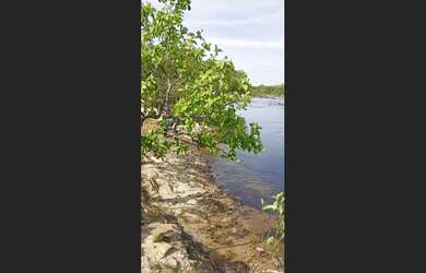 Imagem 5: 138 Alqs Plana Solo Vermelho Região Dianópolis TO