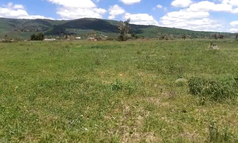 Imagem: Terreno de 13.000m2 em Jacobina