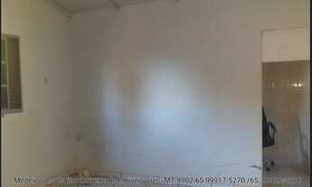 Imagem 2: VENDO!!! Uma chácara de 2.44 hectares na comunidade Mangueiral na região da praia grande