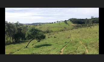 Imagem 3: Fazenda de 190 há em São João Del Rei Minas Gerais