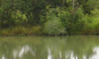 Imagem: 900 Alqs Plana Boa d Água Terra e Logística