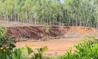 Imagem 6: Propriedade em Pombos PE