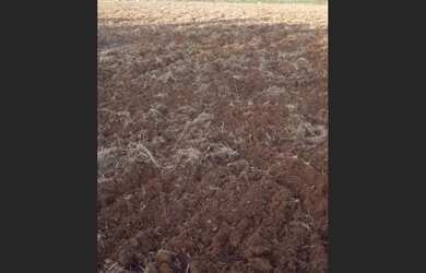 Imagem 3: 600 Alqs Arrendamento Disponivel Pra Soja Região Peixe TO