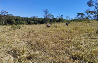 Imagem 3: Terreno de 49 há em Itaguara MG