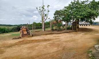 Imagem 4: Fazenda de 60 ha em Itapecerica