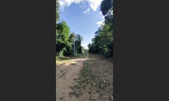 Imagem 3: Lote na estrada do Caldeirão próximo ao Jandira