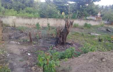 Imagem 4: Terreno em Ponta de Pedras 12m x 30m