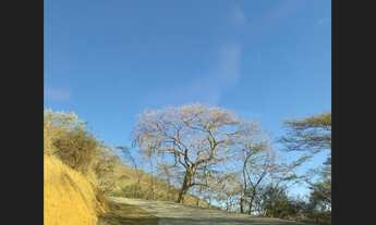 Imagem 4: Terreno a venda em Pedro do Rio - Petrópolis/RJ