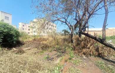 Imagem 7: Corretor Elci Martins Vende lote em Itatiaiuçu