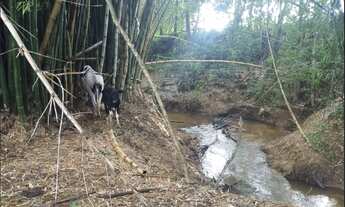 Imagem 7: Terreno de 8 há em Itaguara MG